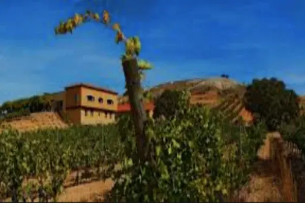 Bodegas Valdubón, Atapuerca