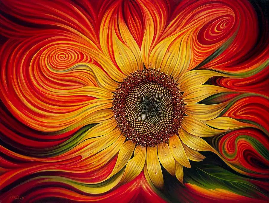 Girasol dibujo